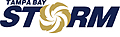 Storm Logo